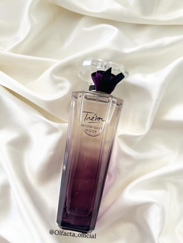 Trésor midnighite rose
