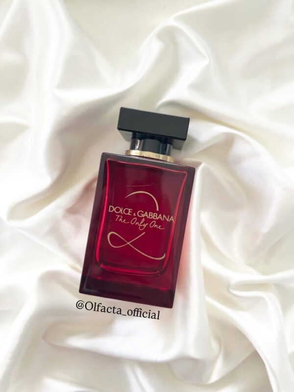 Dolce& Gabbana  the only one
