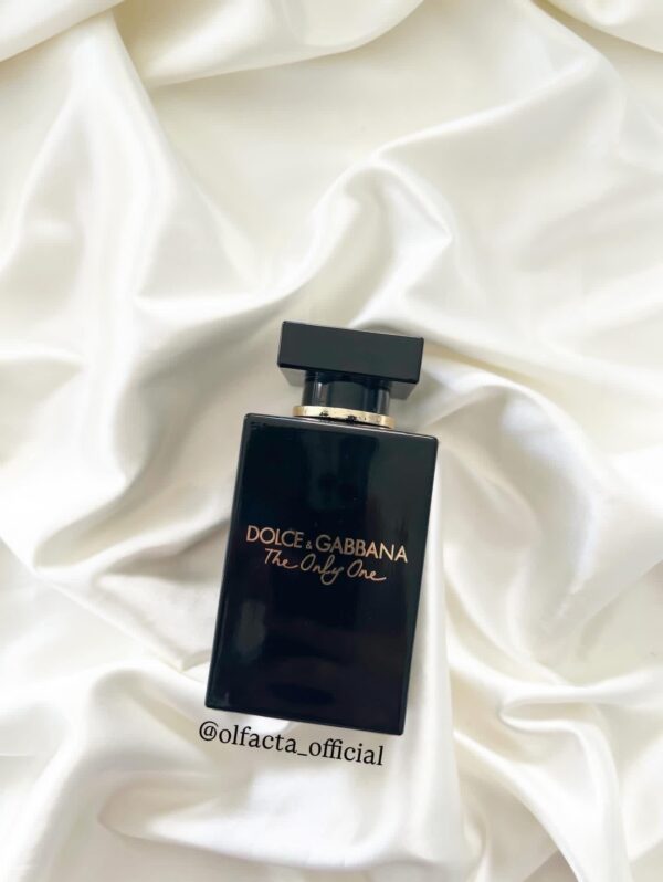 Dolce & Gabbana the only one
