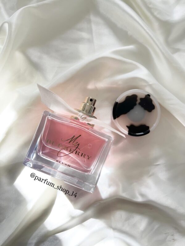 My Berburry Blush